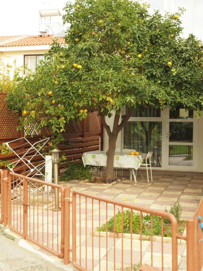 Moon-Light Studio Hotel Ларнака Екстериор снимка